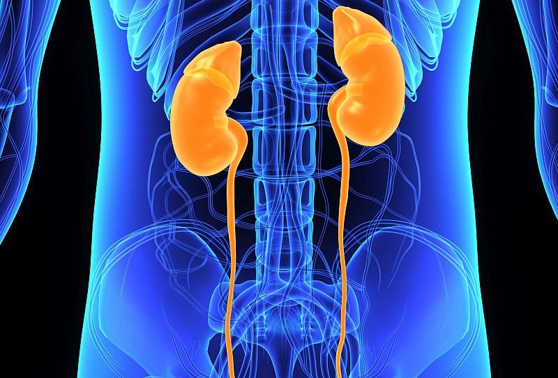 What Happens If My Kidneys Fail Completely?